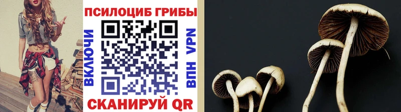 нарко площадка Telegram  Мамоново  Галлюциногенные грибы Cubensis 